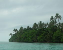 Coastal Ecosystems and Mangroves