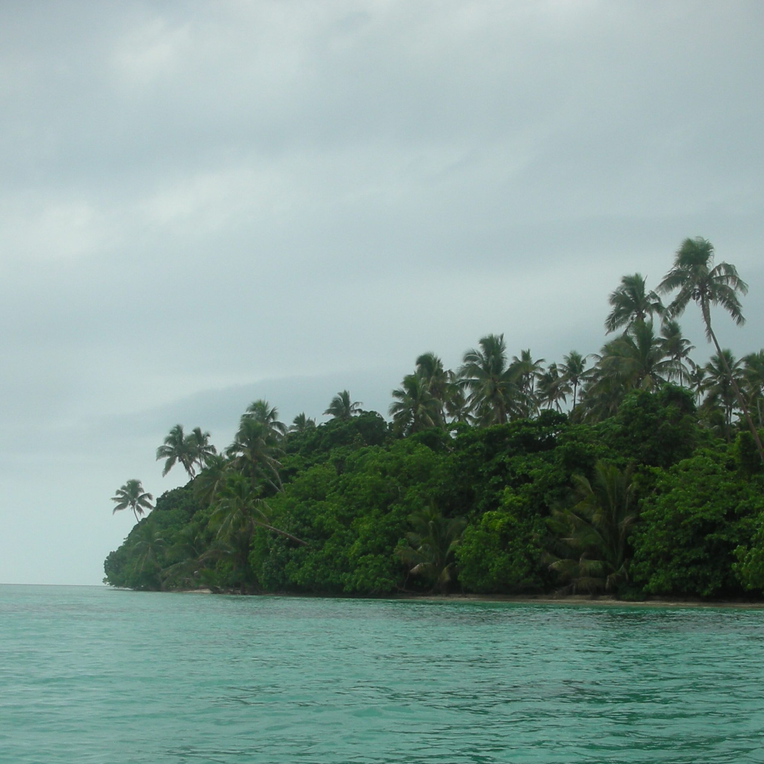 Read more about the article Coastal Ecosystems and Mangroves