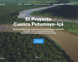 Fostering the uptake of EO based forest products in the Amazon region