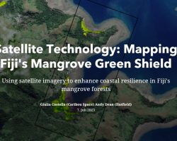 Satellite Technology: Mapping Fiji’s Mangrove Green Shield