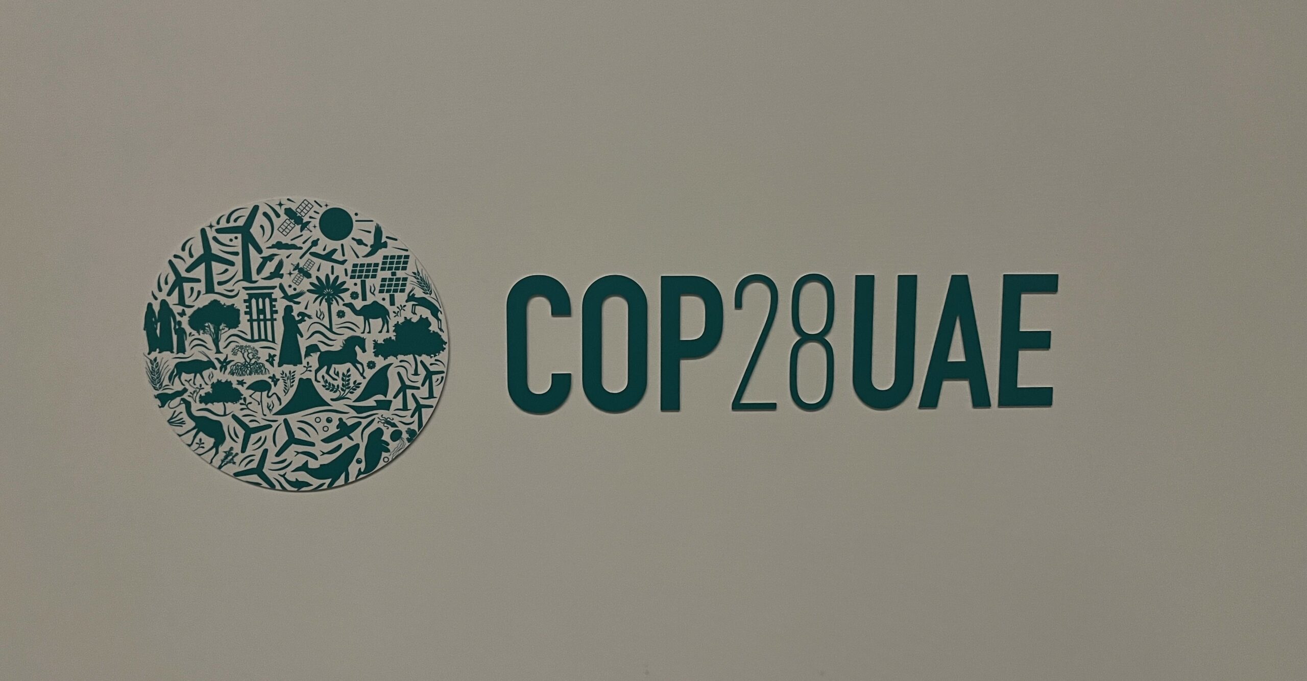 Read more about the article EO4SD FM at the COP28 Side Events: COMIFAC and ESA Pavilions