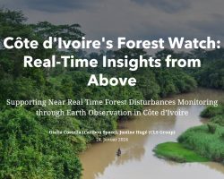 Côte d’Ivoire’s Forest Watch: Real-Time Insights from Above