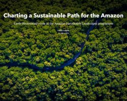 Charting a Sustainable Path for the Amazon