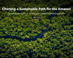 Charting a Sustainable Path for the Amazon