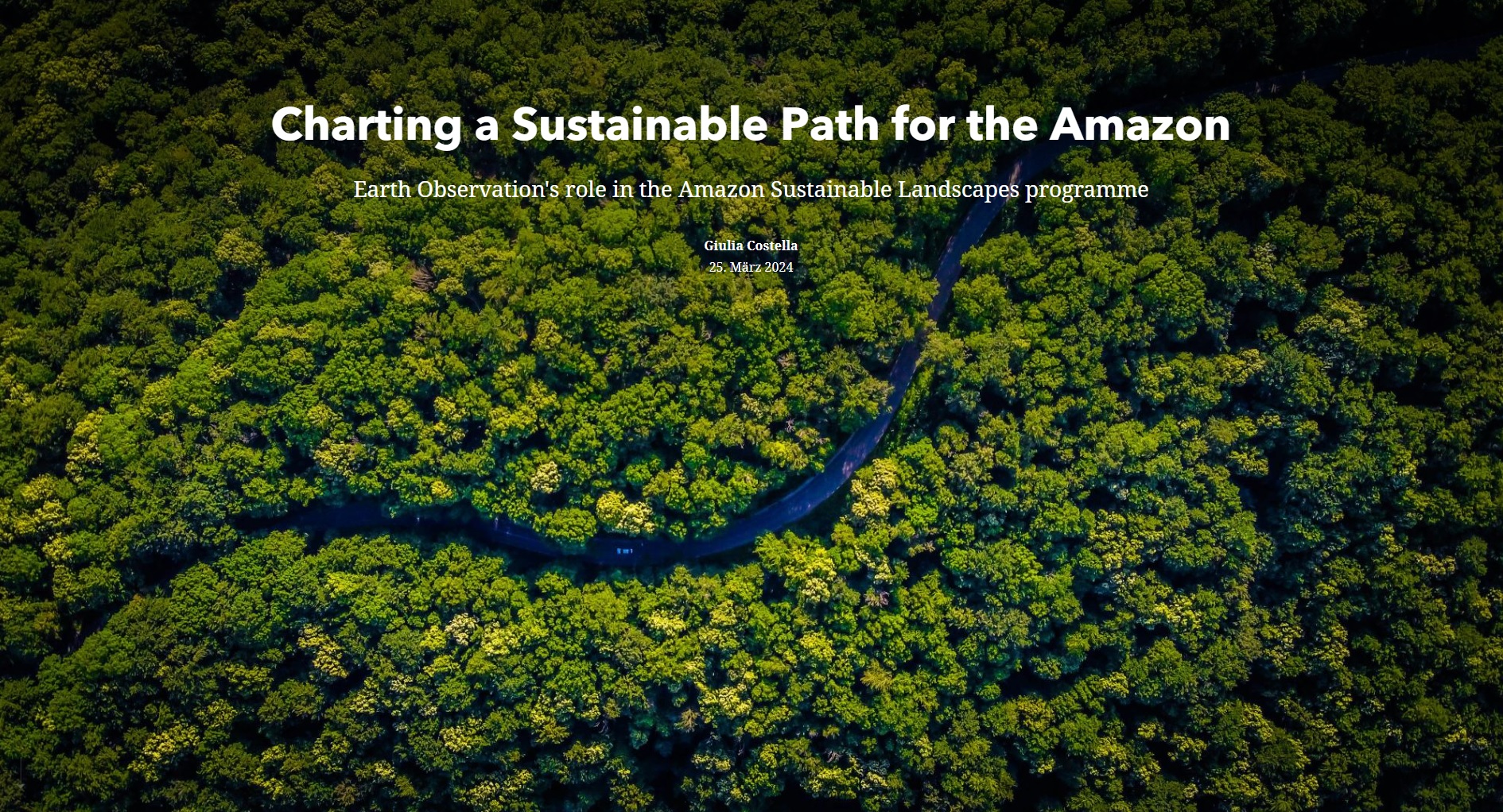 Read more about the article Charting a Sustainable Path for the Amazon